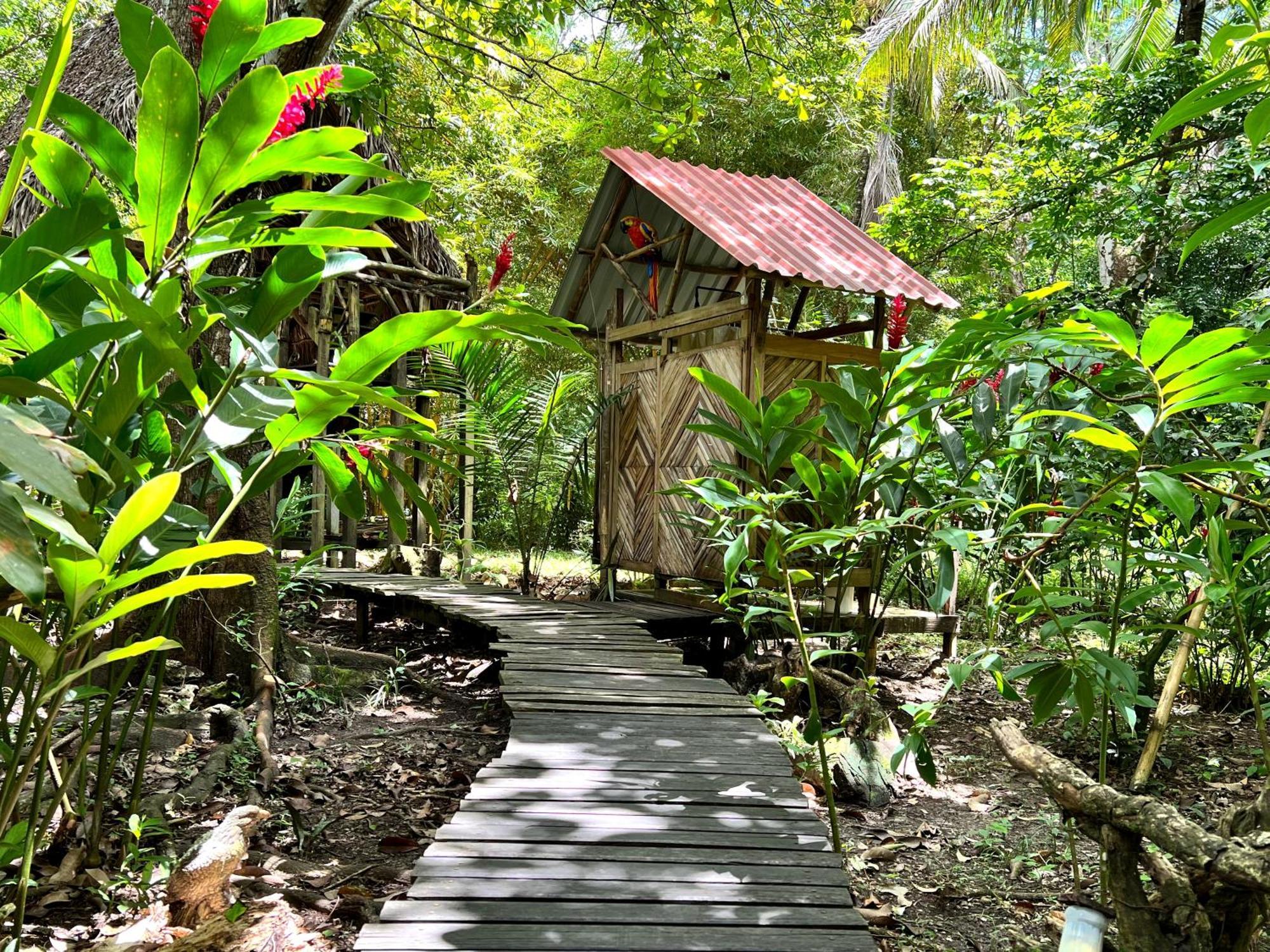 Cabanas Bambutan Palenque Room photo